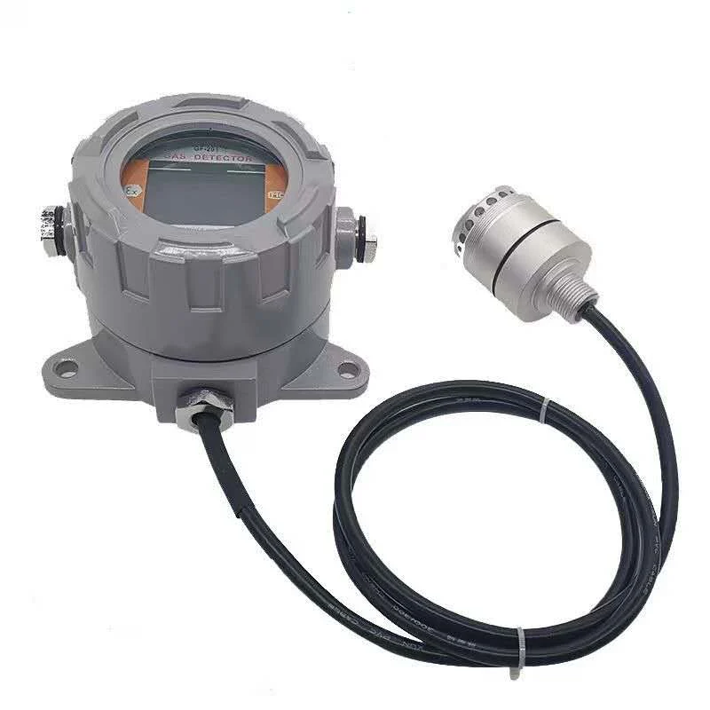 Fixed gas detector in a grey flameproof aluminium housing with a front display, and a remote sensing head on a cable