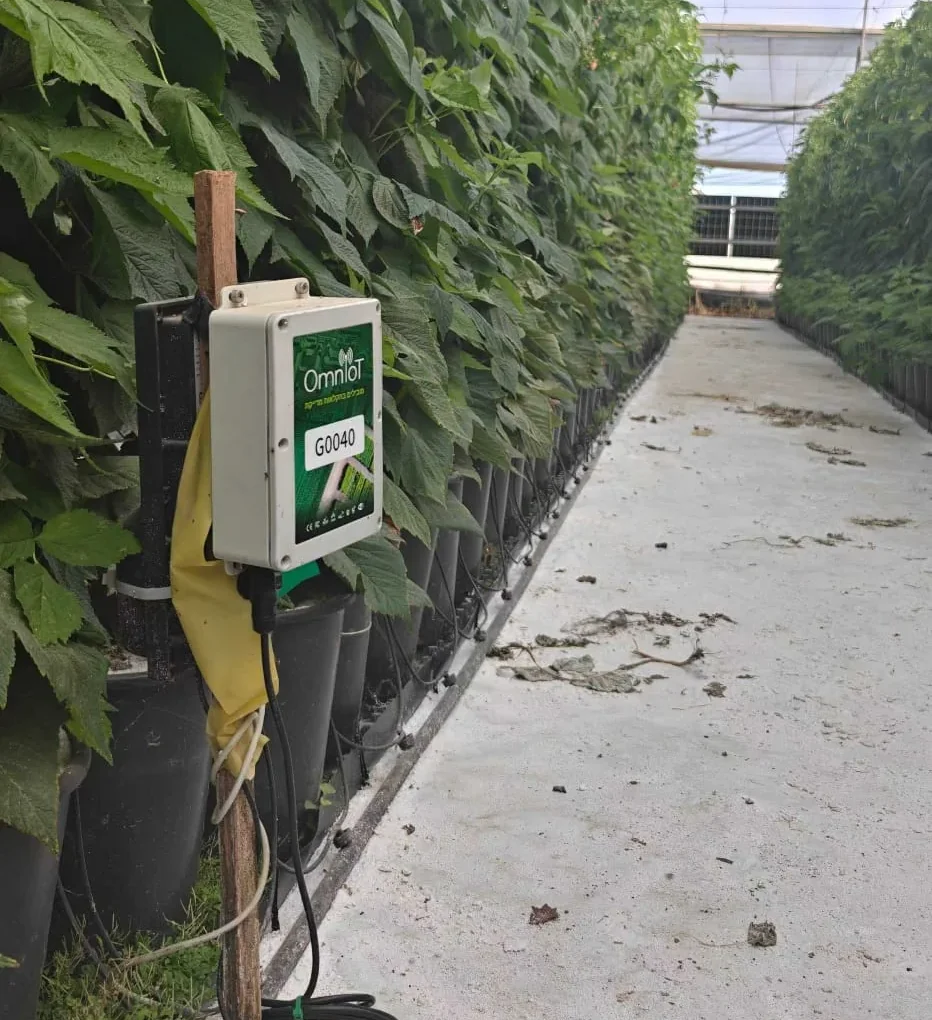 A Genesis controller mounted on a post in a commercial greenhouse, with drip irrigation lines running along the crop row behind it
